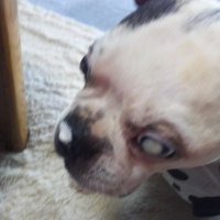 愛 昼間酒 (@tua0xs8xpi6yeev) 's Twitter Profile Photo 愛 昼間酒 (@tua0xs8xpi6yeev) 's Twitter Profile Photo
