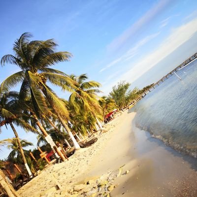 JorgeAn35013936's profile picture. sou feliz por que Deus  sempre está comigo❤️❤️❤️🥰🥰🥰🤓😎😎✨✨✨