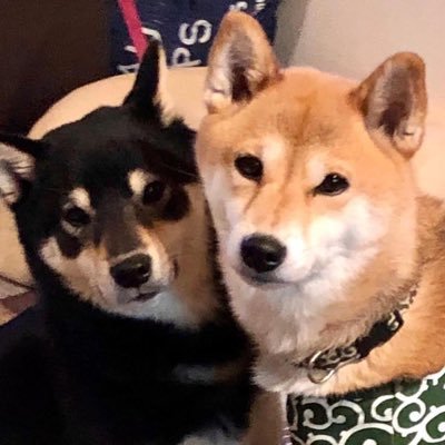 K5rVxA857QporB6's profile picture. 