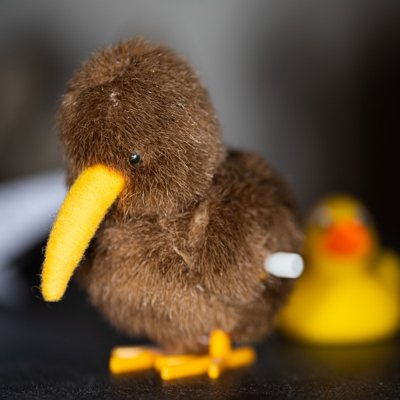 readonlyfreitag's profile picture. Dieser Account könnte Spuren von additiver Kunststofffertigung, motorisierten Zweirädern und IT-Gedöns enthalten