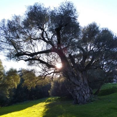 Un uomo saggio impara da una domanda sciocca più di quanto uno sciocco possa imparare da una risposta saggia.