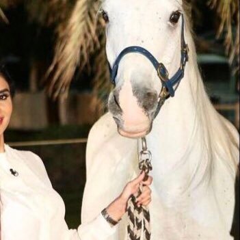 مدمنة الرياضه والسياحه