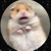 raptus (@raptusnaj) Twitter profile photo raptus (@raptusnaj) Twitter profile photo