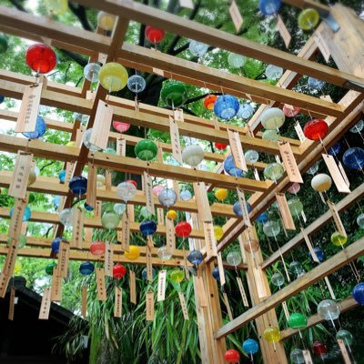 madonnalily227's profile picture. 安井金比羅宮でデブな私と別れたいとお祈りしたアカウントはこちらですっていうぐらいデブな人のアカウント/平和で行きたい西武ファン