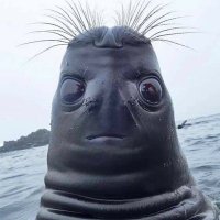 ElSuci0Krippy 🗿 (@suci0krippy) 's Twitter Profile