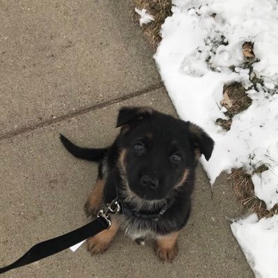 sandtrap10's profile picture. 