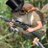 ihuntbirdgently's profile image