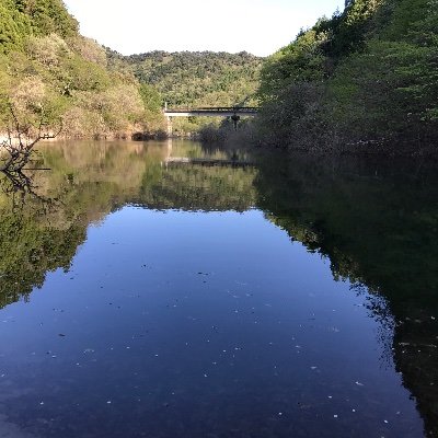 joyo611's profile picture. 為替FXから仮想通貨へと辿り着きました。まだまだ初心者で、うまくいってませんが、ただ今猛勉強中です。