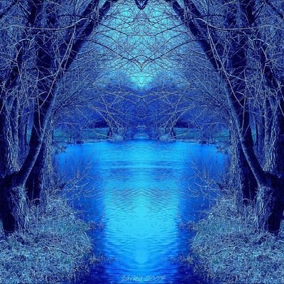 joeldmens00's profile picture. 🤴