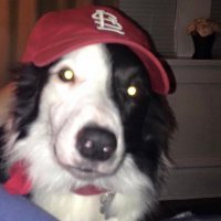 Augen Doggen (@augendoggen) 's Twitter Profile