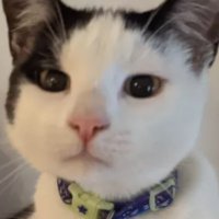 Homo🏳️🌈Erratic🏳️⚧️Theybiegirl (@snowcancelled) 's Twitter Profile Photo Homo🏳️🌈Erratic🏳️⚧️Theybiegirl (@snowcancelled) 's Twitter Profile Photo