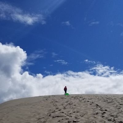 donge_0's profile picture. 