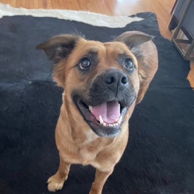 bbranda's profile picture. אם תרצו, אין זו אגדה