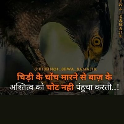 VinodKu25370778's profile picture.              दूसरों के महलों में गुलामी करने से बेहतर है
अपनी झोंपड़ी में राज करना.....🙏🙏 वन्दे मातरम्🇮🇳🇮🇳🇮🇳🇮🇳🇮🇳

🙏जय राधेकृष्णा🙏
    
         