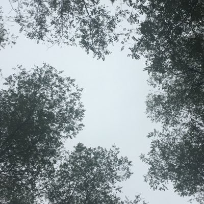 Showmestate1109's profile picture. Incoherent ramblings. Pictures from my adventures in rural and small-town Missouri.