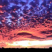 Igor Fokin (@igorfokin5) 's Twitter Profile