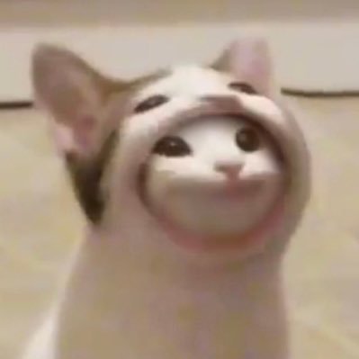 Spike_feng123's profile picture. 