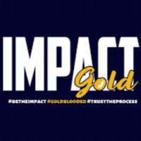 Impact Gold 08 GA(@ImpactGold08GA) 's Twitter Profile Photo