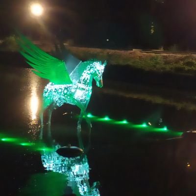 Volodym36117385's profile picture. Tall night