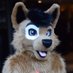 Starfire AKA Smol Doggo (@Starfirewolfie) Twitter profile photo