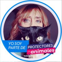Ángeles Romero (@angelesrocaz) 's Twitter Profile Photo Ángeles Romero (@angelesrocaz) 's Twitter Profile Photo