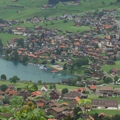 chanechanemoha1's profile picture. Tranquillement