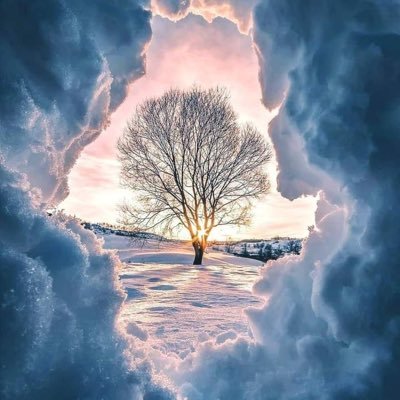 Karenerc's profile picture. 