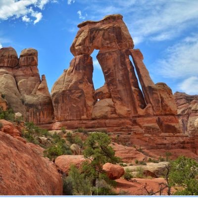 Sara_Croft1's profile picture. 