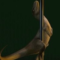 Tyrannosaurusblech (@queeraptor) 's Twitter Profile