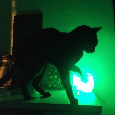 dentedecadente1's profile picture. Não entendi foi nada