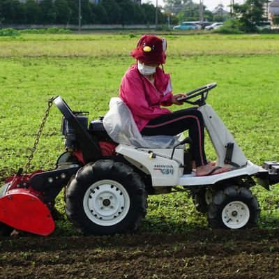 日本一暑い街熊谷市でパパイヤの生産をしています。健康野菜のパパイヤのことや烏骨鶏やアローカナ達のことをツイートします。パパイヤで熊谷市の町おこしを一緒にしませんか?　パパイヤの木のオーナーを募集します。あなたも健康野菜のパパイヤを育ててみませんか？