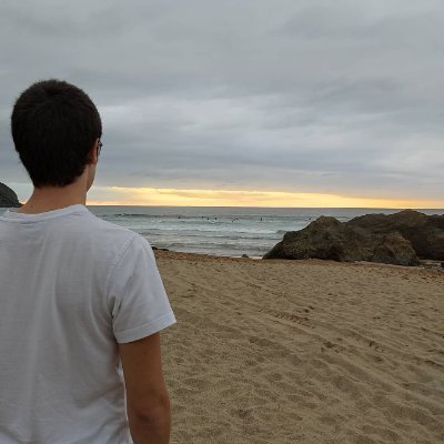 markelarru1998's profile picture. Bakoitzak bere adreilua, denok batera harresia! #libre