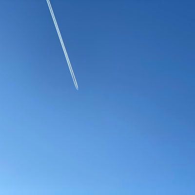 Volsterxd's profile picture. programming