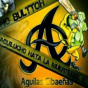 reinoaguilucho's profile picture. 