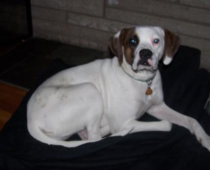 LegacyCost's profile picture. Average Joe retired from GM, Loaded with opinions and perspectives. Still hopeful we can make a difference.