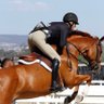 IndependentRed4's profile picture. Slave to my horses. OTTB advocate, & TB Racing Super Fan. Often sarcastic .          GoBucs🏴‍☠️