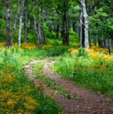 u223r's profile picture. inactive -