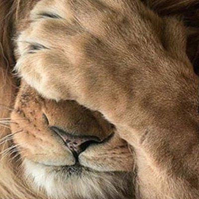 Twitteo, luego existo.🦉
Abogado convencido de que debemos impulsar el cambio en favor del ser humano y la sociedad. ⚖️ Pro 4T.