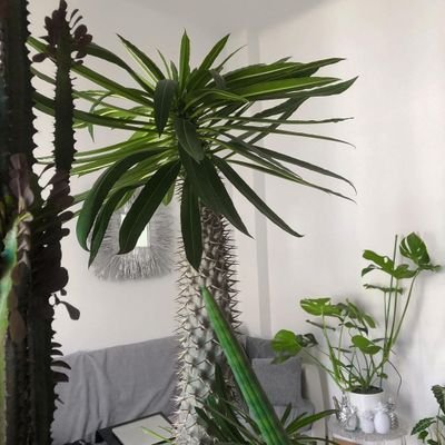 keepupwitburner's profile picture. inhale. exhale. life's good 🦄