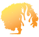 YLVineyard's profile picture. 