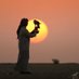 المهري (@fujtyspucxkgu5s) Twitter profile photo المهري (@fujtyspucxkgu5s) Twitter profile photo