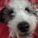 Leighton Harrison Lol - @LeightonHarri11 - Twitter