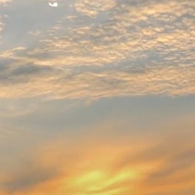 Imnothingsss's profile picture. solo solo