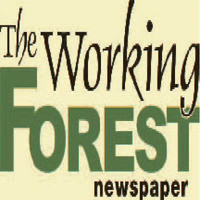 Your #1 source for forest industry news!