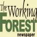 The Working Forest (@workingforest) Twitter profile photo The Working Forest (@workingforest) Twitter profile photo