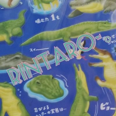 ゆるジッターでしたが情報難民。
本格的に追いたいので、やっと垢つくりました🐊❤🦄

いろいろあった垢まとめました😶😶😶
EXIT、お笑い、CreepyNuts、俳優もろもろ垢です🤙
お友達欲しいです！！仲良くしてください🌈無言フォロー失礼します
