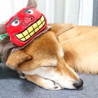 松田ひでき (@oiwasan__1012) 's Twitter Profile