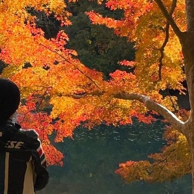 ぜひバイク好きの皆さんと仲良くなれたらと思いTwitterを開設しました♪ よろしくお願いいたします♪ 無言フォロー失礼します🙇♀️首ヘルニアになり事務員になりました☺️168cm 絶賛デブリん中