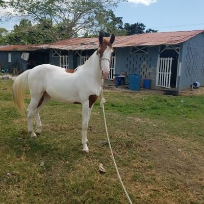 mejereztrading's profile picture. 
