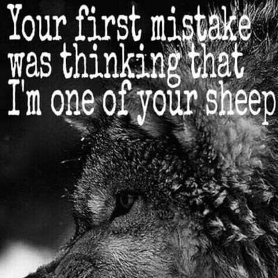 I AM A WOLF , ARE YOU? 
OR ARE YOU A SHEEP????